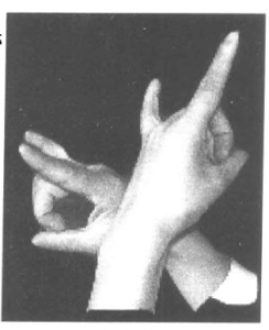 Complete Collection of Daoist Hand Seals: The Seal of Radiant Light and the Seal of Delivering from Suffering