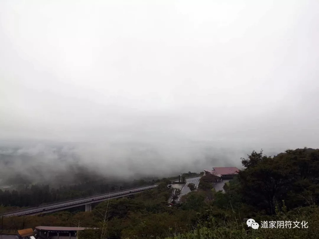 Eastern Journey: Kagoshima (3) — The Kirishima Forest