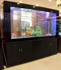 靠牆的魚缸